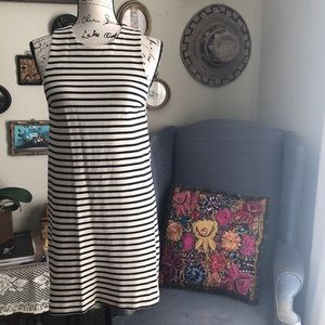 Fossil dress